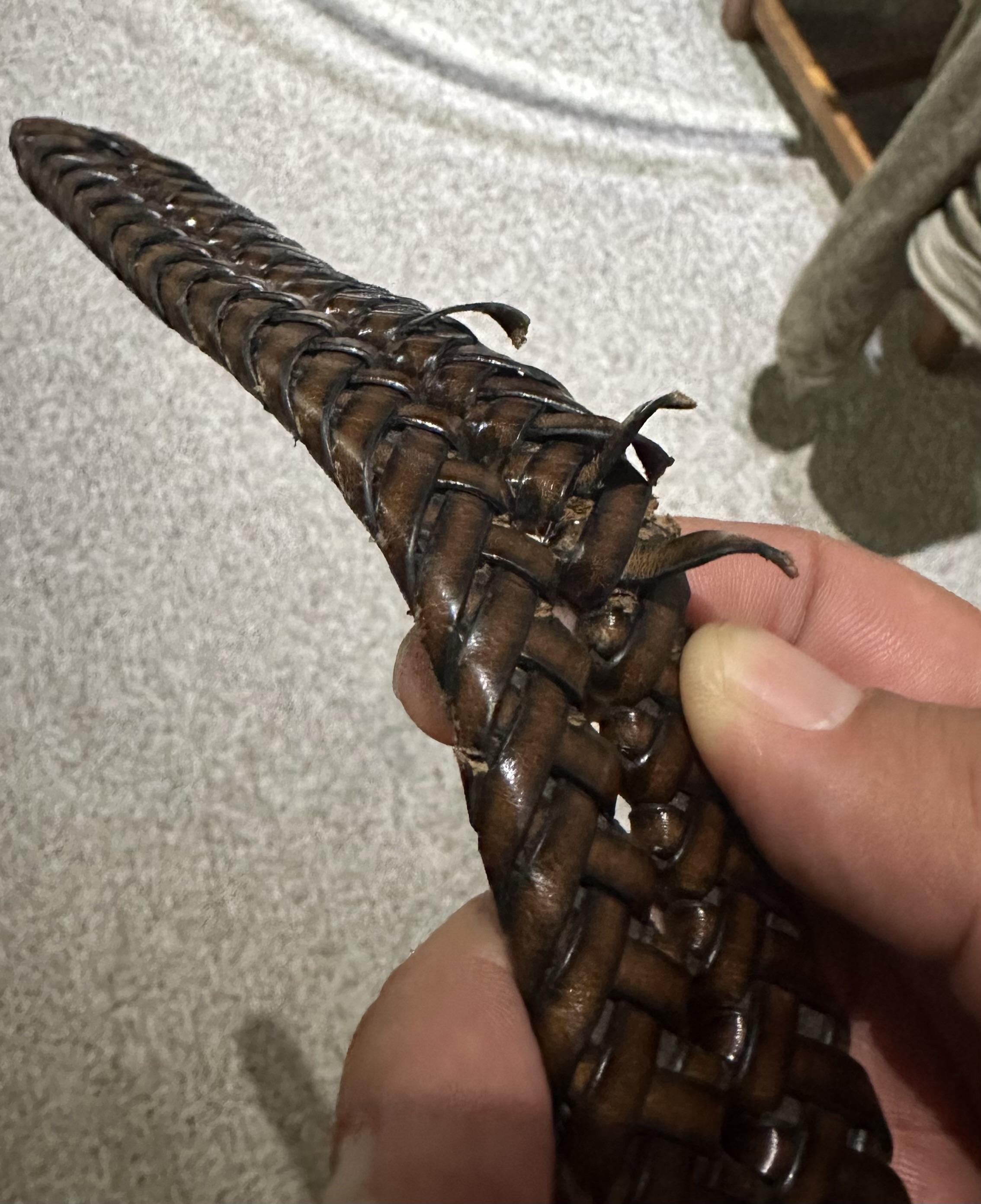 My hand holding a laced brown belt. Some of the laced pieces are frayed. 