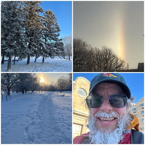Grid of four photos:
1) A small cluster of spruce trees in snowy parkland, under a blue sky.
2) A zoomed-in photo of a sun dog on the east side of the rising sun, with fairly clear colour banding.
3) Snowy path through parkland with the sun rising above the trees in the distance.
4) Selfie of a white bearded man with glasses, a black ball cap with Canadian and Ukrainian flags on it, an orange hoodie, a red outer coat, a beard covered in ice (#IceBeard), with the Rideau Public Library branch visible behind him.