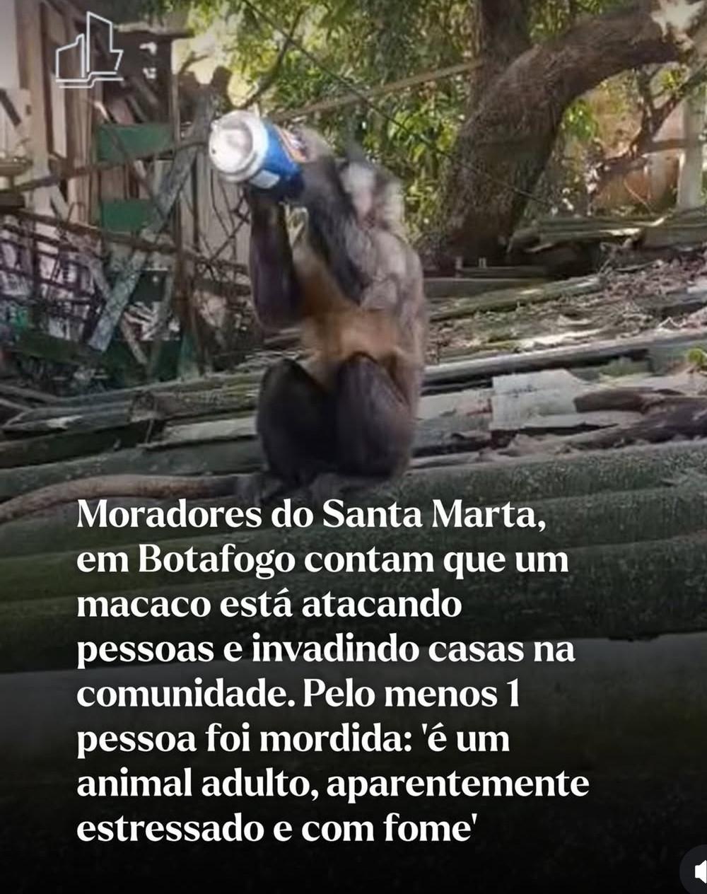 Posted media