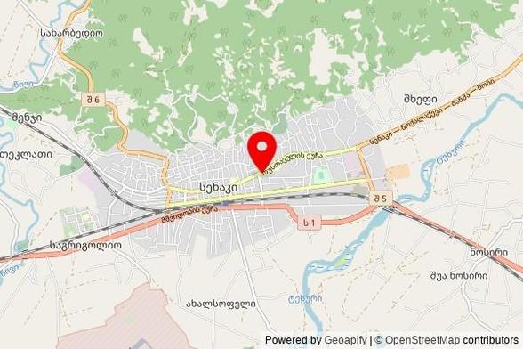 A partially zoomed out map with a pin at the position of სენაკის წმ.ალექსი შუშანიას ეკლესია, Rustaveli St, 4100 Senaki, Georgia