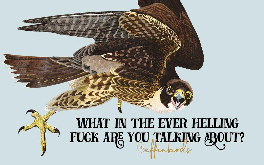 A painting of a bird beside the text "what in the ever helling fuck are you talking about?"