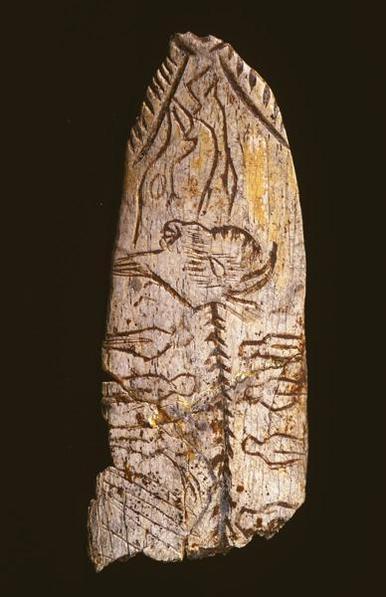 Trozo de hueso donde hay un dibujo de una cabeza de búfalo seguida de lo que parece una espina de pescado (su columna vertebral) y varias personas a cada lado.