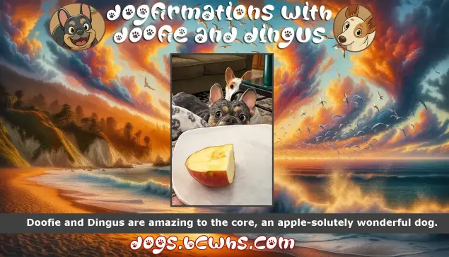Dogfirmations with Doofie and Dingus: Them Apples
 
Doofie and Dingus are amazing to the core, an apple-solutely wonderful dog.