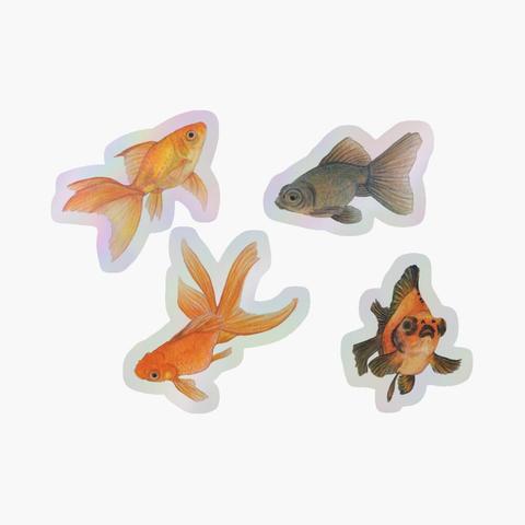 4 Stickers holographiques représentant 4 espèces différentes de poissons rouges réalisés à l'aquarelle.