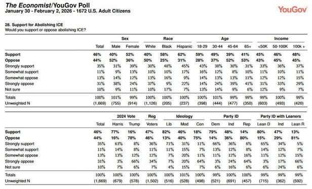 A poll showing support for abolishing ice broken down by different demographics. 59% of those 18-29 support abolishing ice, versus only 39% in the 45-64 age range, the lowest % of all generations