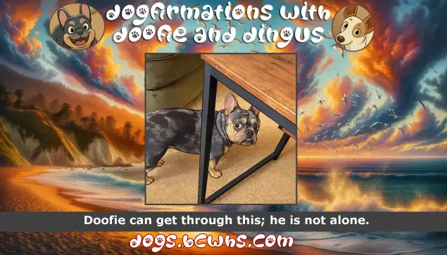 Dogfirmations with Doofie and Dingus: Perseverance
 
Doofie can get through this; he is not alone.