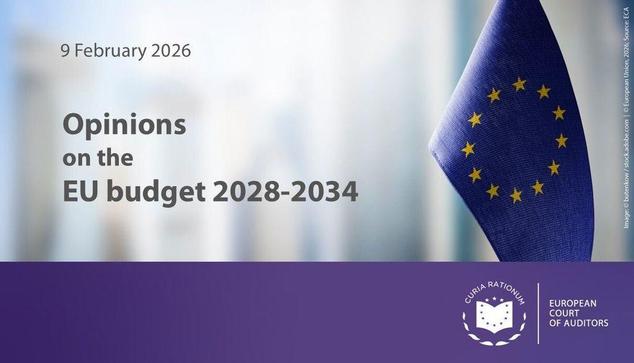Opinions on the EU budget 2028-2034