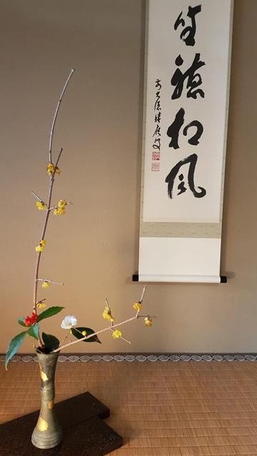 Marking the end of winter in the tokonoma...a display of red and white camellia, and yellow wax plum.