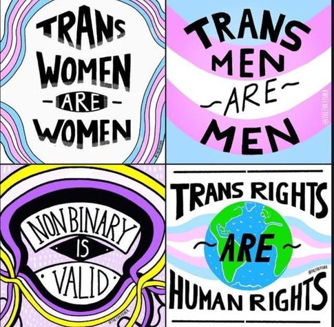 Four panels in trans and nonbinary colours with black text that reads:

Trans women are women
Trans men are men
Nonbinary is valid 
Trans rights are human rights.