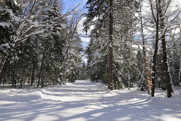 This is a landscape format photo taken of a cross country ski trail in the winter. This flat trail passes through a forested area with a mix of deciduous and coniferous trees on both sides. Snow covers the ground and has coated many of the tree branches in the area. The sky is a light blue colour with some white clouds in view. The ski tracks can be seen curving in the foreground and extending straight into the distance. No skiers were in view at the time.