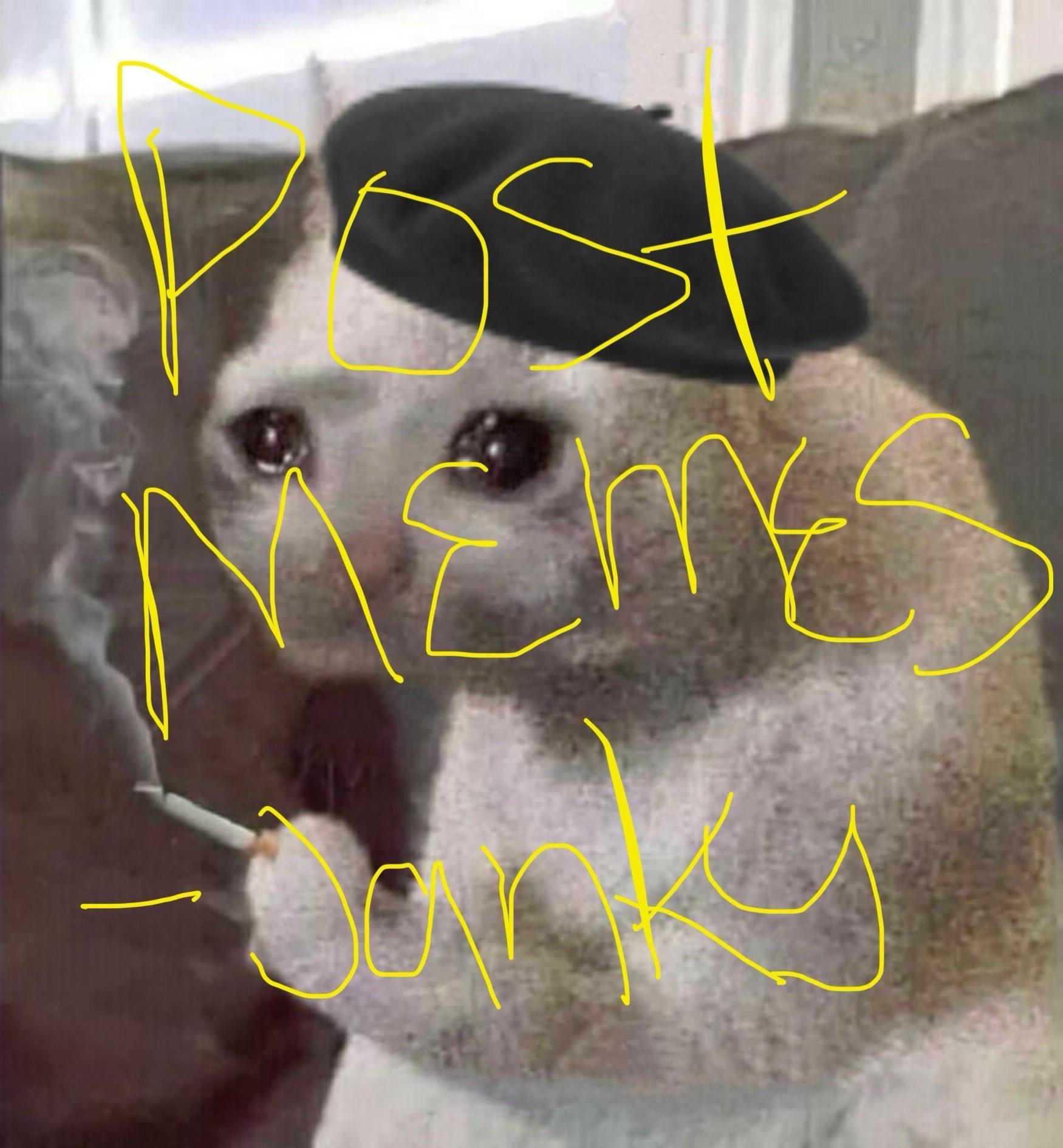 Sad cat wearing a beret and smoking a cigarette. Text overlay reads "post memes — janky"