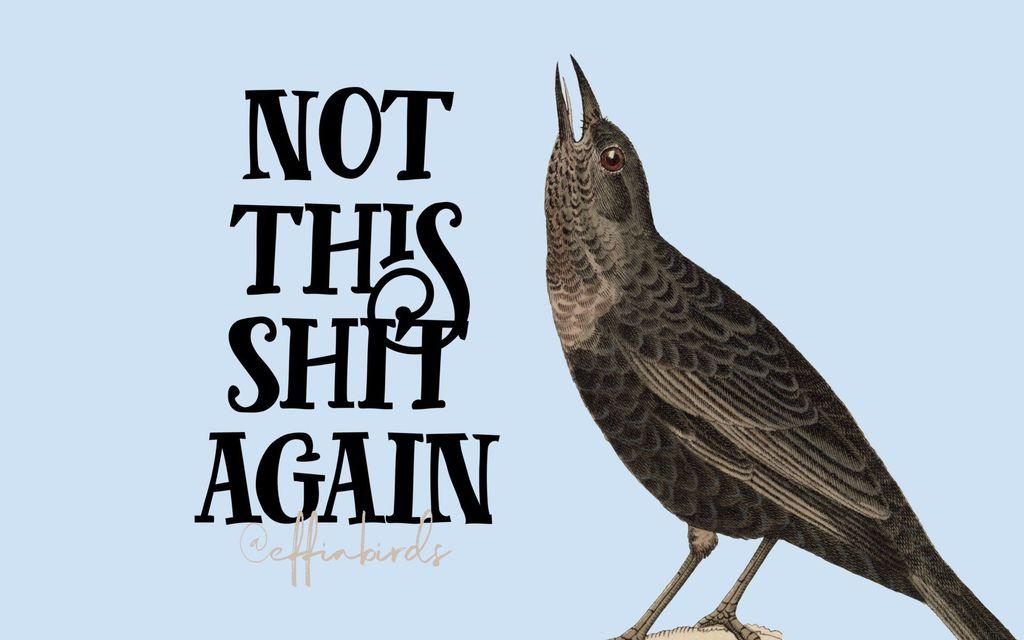 A painting of a bird beside the text "not this shit again"