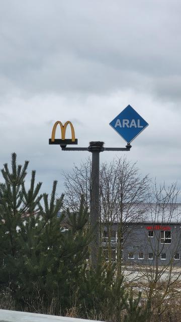 Unten links stehen zwei drei Tannen. Und der mit steht ein Mast mit Mc Donald und Aral Schildern drauf. Dazwischen befindet sich ein Storchennest. Im Hintergrund sind Häuser. Der Himmel ist grau.