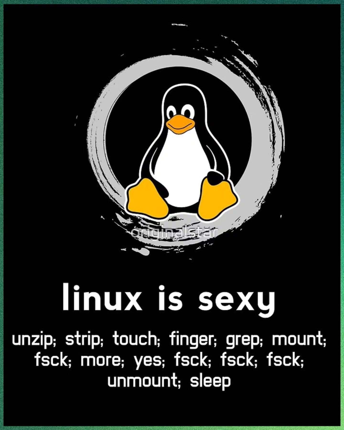 In this black-colored picture, there is a picture of Tux, the mascot penguin of Linux, on top, with the following written below:
linux is sexy
unzip; strip; touch; finger; grep; mount; fsck; more; yes; fsck; (3 times), unmount; sleep