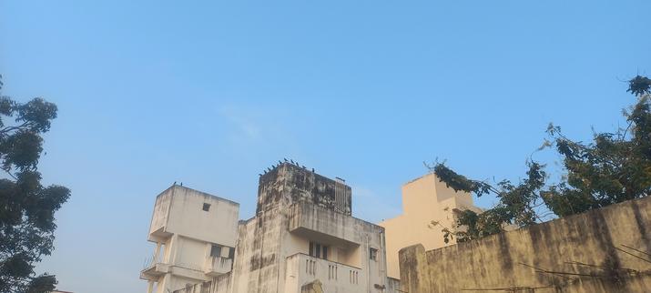 House crows on the edge of cement concrete water tanks stop multi storied buildings. Multiple tanka each with some to more than some crows. 

The buildings are originally white or cream white wash but show signs of weathering. Set againt a fading blue sky

This is a photo from mobile phone camera  not so zoomed on.