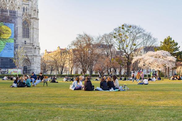 Image of groups of people sitting in a grass field