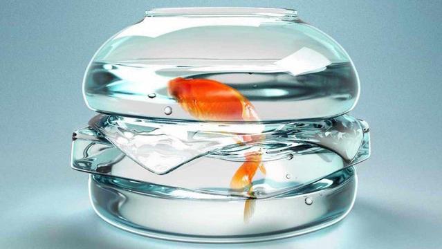 fishbowl_sandwich: Image adapted from a McDonald's ad showing a cheeseburger made of glass with the addition of a goldfish in the center