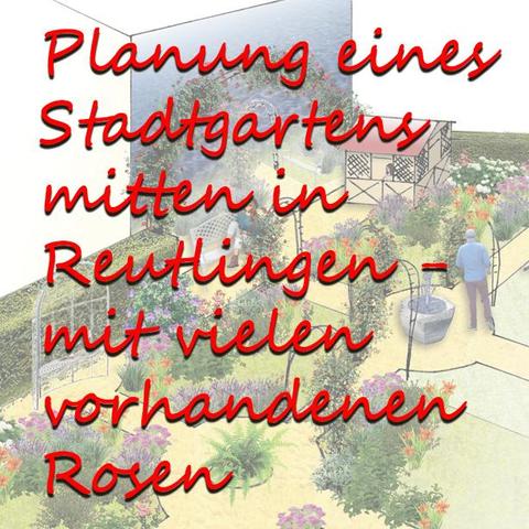 Planung eines Stadtgartens mitten in Reutlingen mit vielen vorhandenen Rosen