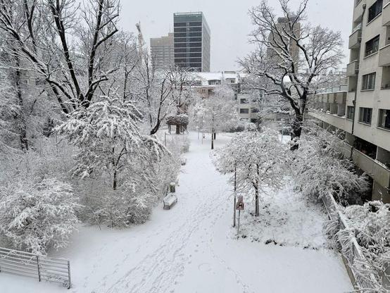 View from an office kitchen overlooking a public park in Vienna, where trees, bushes, benches, and walking paths are blanketed in fresh snow, with apartment buildings and high-rise offices in the background during snowfall.