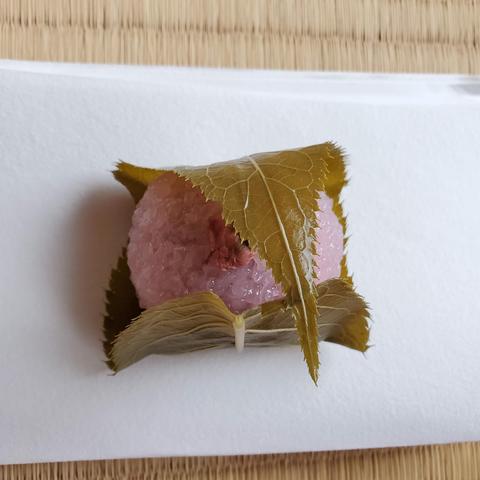 Sakura mochi, a sticky rice cake wrapped in a sweet and salty sakura leaf.