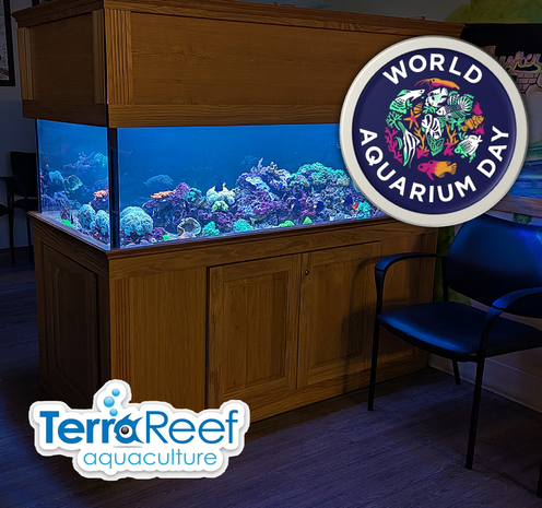 The image is from one of our aquarium service accounts in Philadelphia. Designed, installed, and maintained by TerraReef Aquariums using 100% aquacultured fish and corals. TerraReef Aquaculture logo and World Aquarium Day logos over top