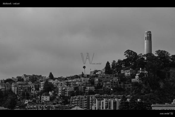 A black and white photo of Coit Tower in San Francisco, California with houses and nature below.