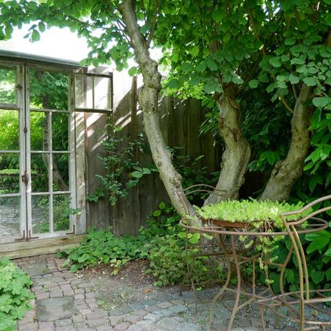 Garten spiegelt sich im Fenster und dadurch wirkt er größer, als er in Wirklichkeit ist.