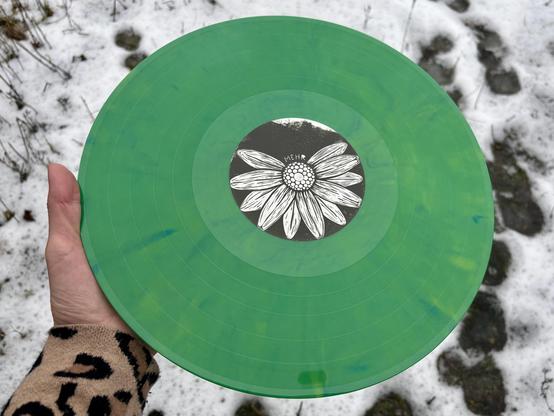 Ene grün marmorierte Vinyl mit einem schwarzweißen Etikett, auf dem geschrieben steht „mehr“ bei einem Gänseblümchen mit fehlenden Blütenblättern, wird von einer Hand gehalten.