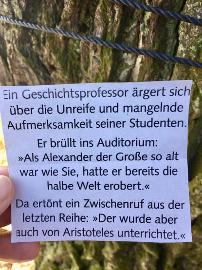Ein kleiner, weißer Zettel. Darauf ausgedruckt folgender Witz: "Ein Geschichtsprofessor ärgert sich über die Unreife und mangelnde Aufmerksamkeit seiner Studenten. Er brüllt ins Auditorium: >> Als Alexander der Große so alt war wie Sie, hatte er bereits die halbe Welt erobert. << Da ertönt ein Zwischenruf aus der letzten Reihe: >> Der wurde aber auch von Aristoteles unterrichtet.<<
Hinter dem Zettel die Rinde eines Baumes und ein Stahlseil, das zweimal um den Baum gewickelt ist. Link die Finger, die den Zettel halten.
