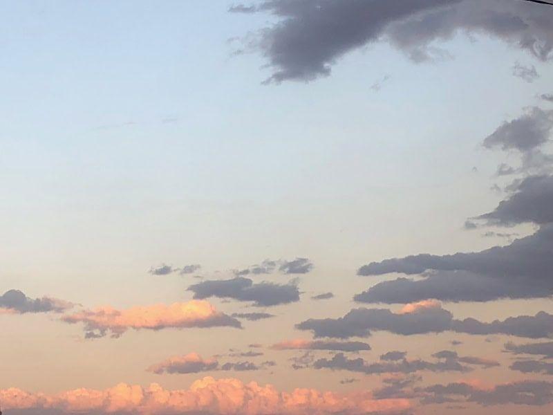 Posted media