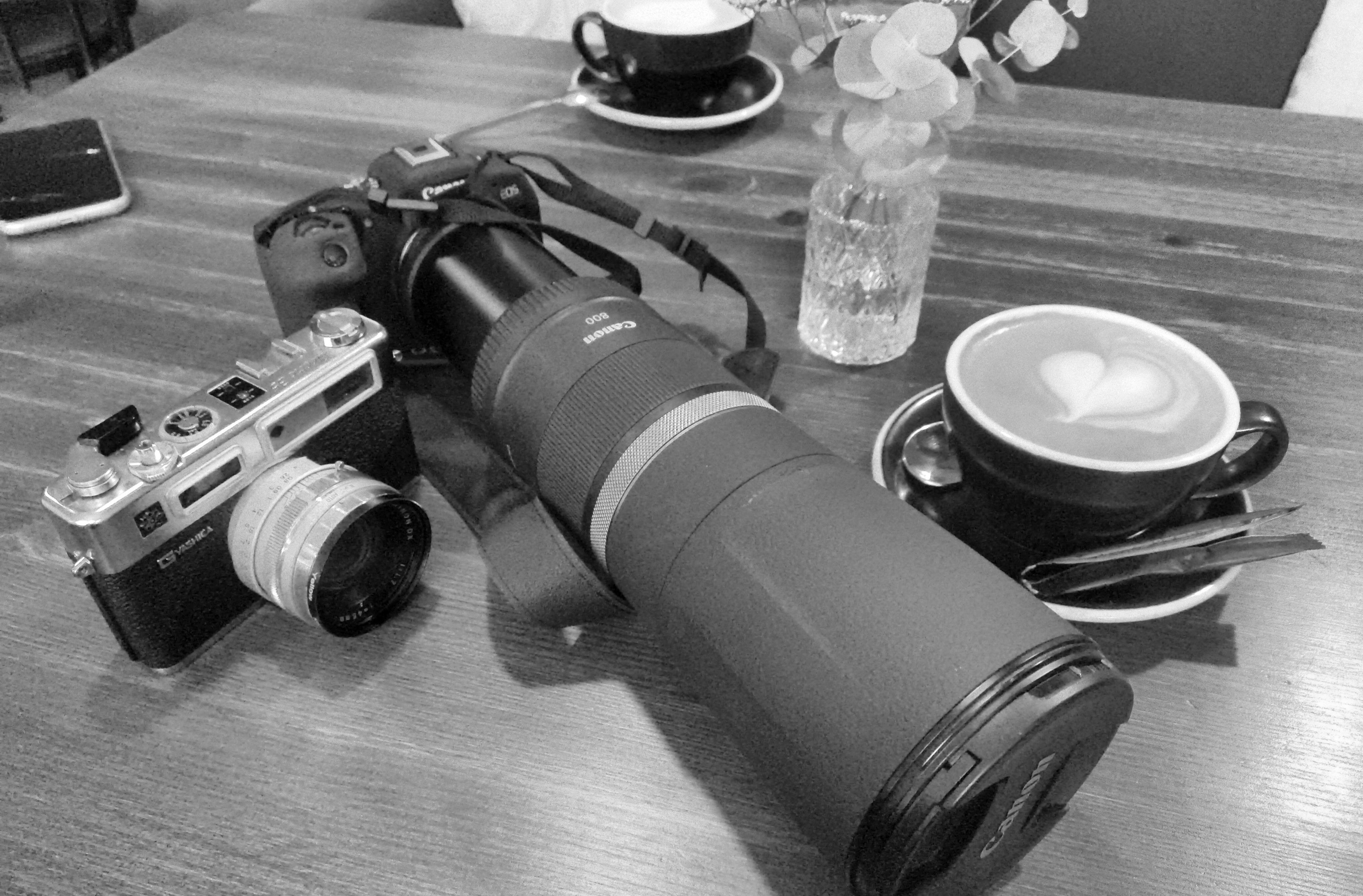 Posted media