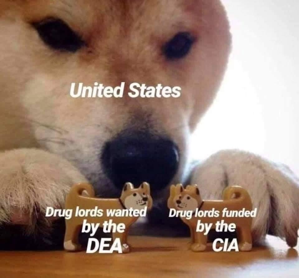 Posted media