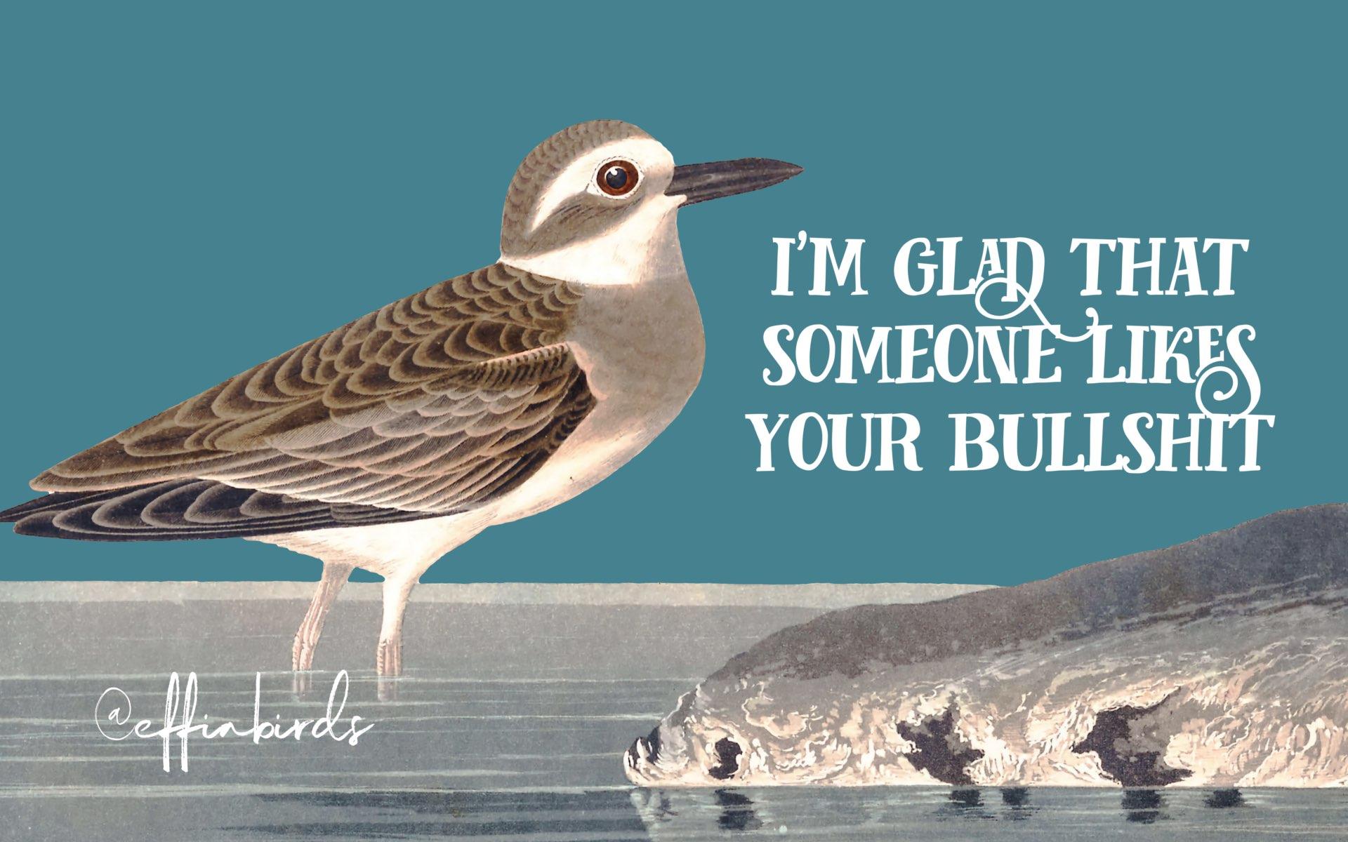 A painting of a bird beside the text " i'm glad that someone likes your bullshit"