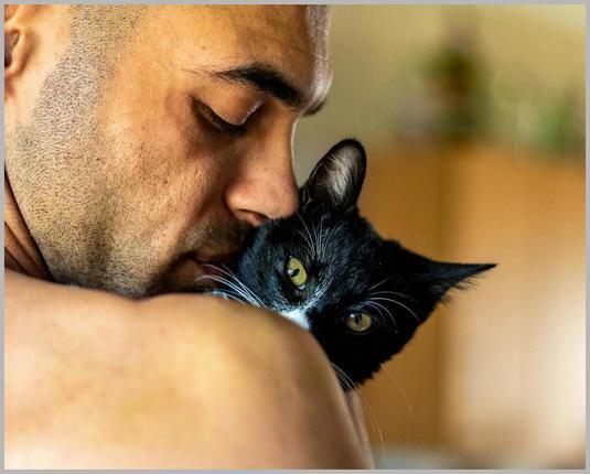 Ultimate First-Time Cat Dad’s Reaction to Kittens Guide: 7 Proven Tips