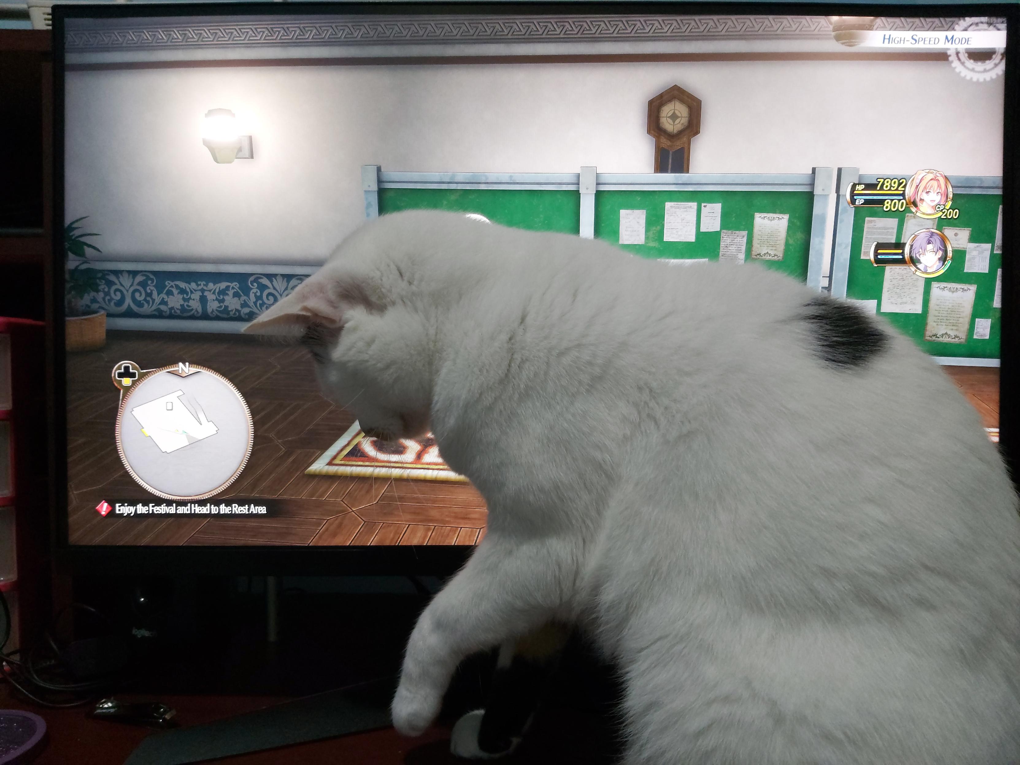 White cat blocking the view to a PC monitor that shows Trails in the Sky 1st Chapter running in Linux CachyOS.