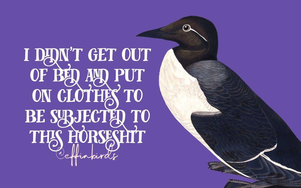 A painting of a bird beside the text "i didn't get out of bed and put on clothes to be subjected to this horseshit"