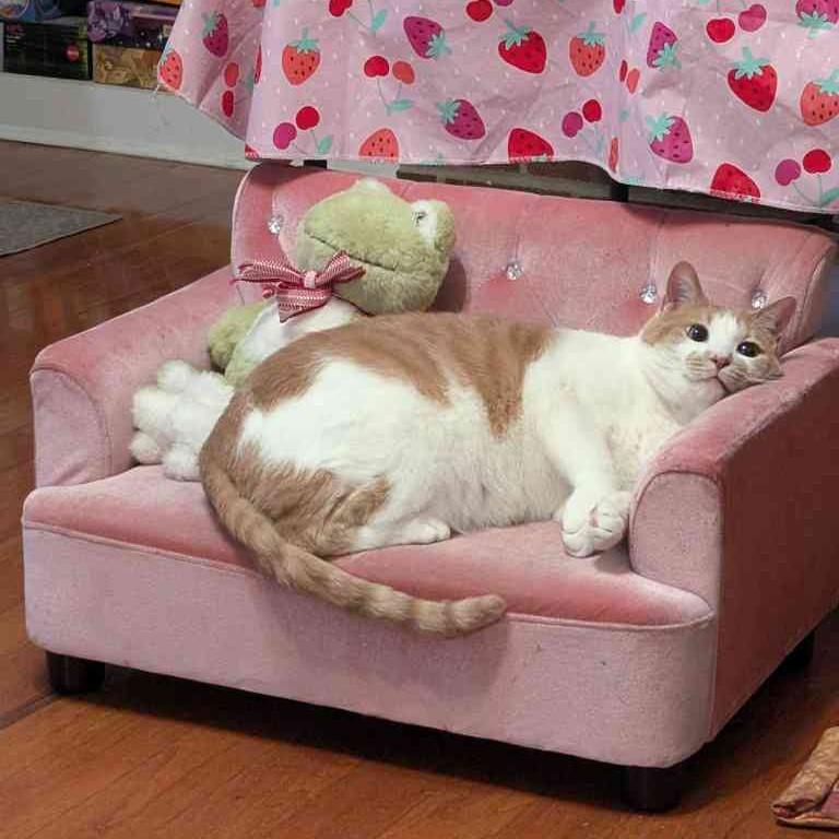 An orange and white cat is lying on his side on a small pink couch. A plush frog is sitting next to him.