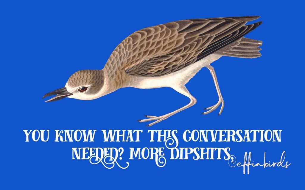 A painting of a bird beside the text "you know what this conversation needed? more dipshits"