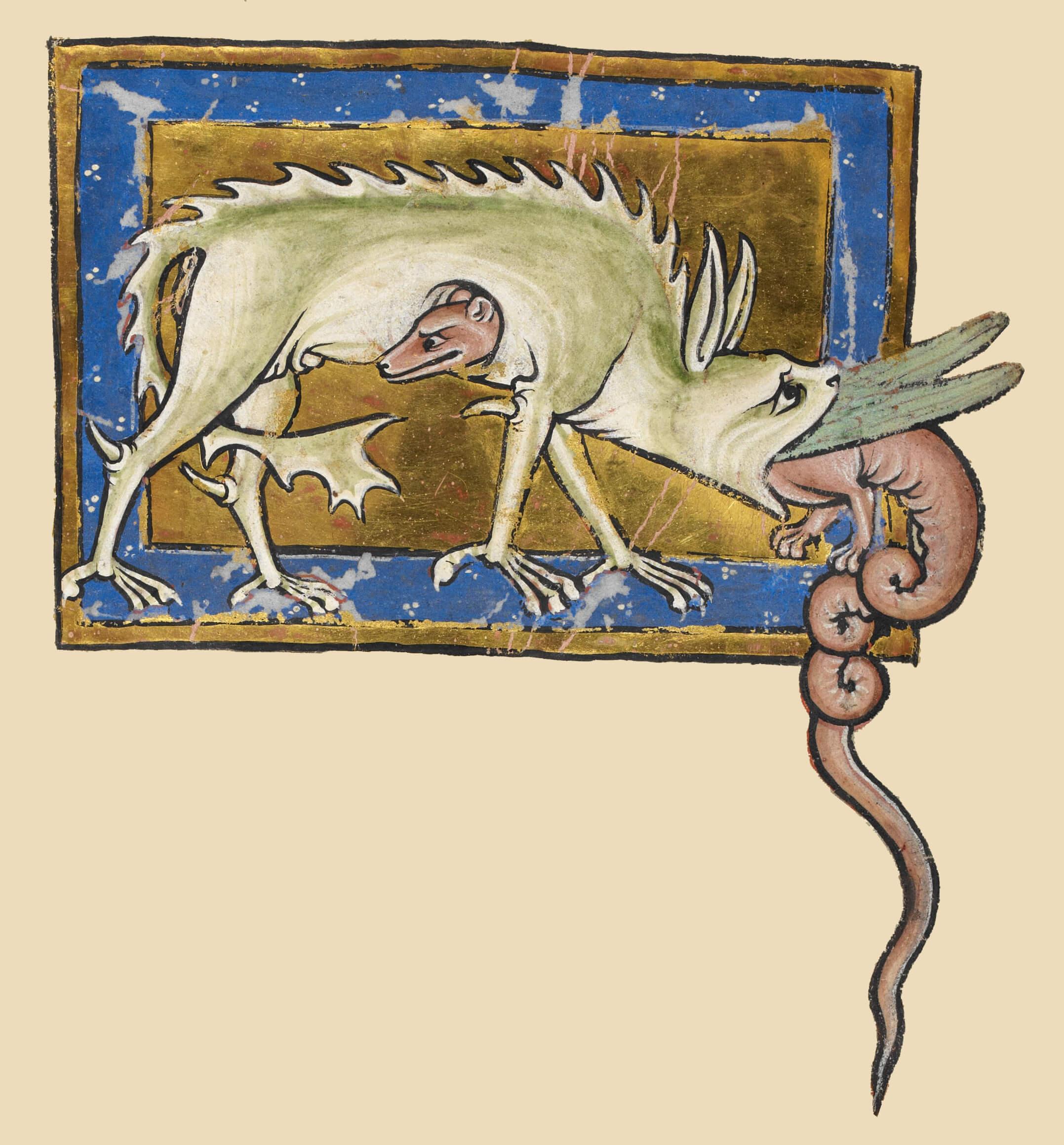 The hydrus, or male water snake, being swallowed by a crocodile.
Tempera and gold leaf on parchment, 22 x 26 cm (page from Royal 12 C XIX), anonymous, c. 1200–1210. The British Library, London.