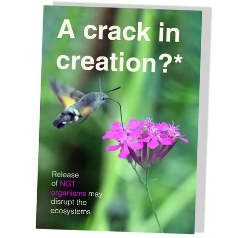 a crack in creation