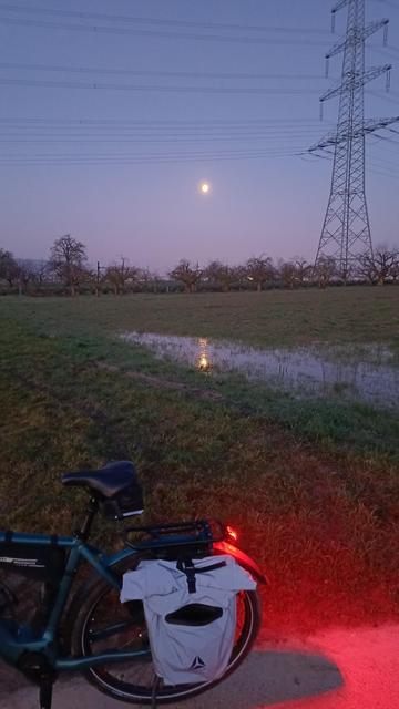 Fahrrad steht vor einer Wiese und einem Strommasten. In einer Pfütze spiegelt sich def Mond.