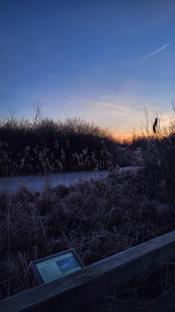 Das Telegeler Fließ im Sonnenaufgang. Das Wasser ist komplett gefroren, alle Pflanzen sind vom Frost bedeckt.