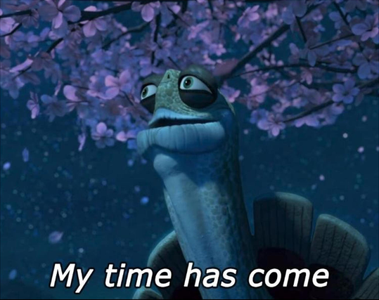 Master Oogway (anthropomorphic turtle from Kung Fu Panda) saying "My time has come"