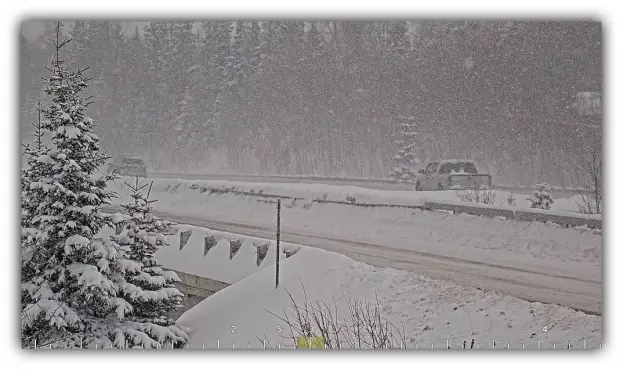 🚨 A woman found dead in a vehicle.
⚖️ A 13-year-old sexual assault case finally reaches a verdict.
❄️ Snow is falling across Anchorage right now.
🎉 And Spring Break events are popping up across town.
A lot is happening in Alaska today.
See what made the list 👇
https://bit.ly/4ugDRzH
#Alaska #Anchorage #Fairbanks #News #AlaskaNews #WinterWeather #TravelAlaska #SpringBreak #AlaskaLife