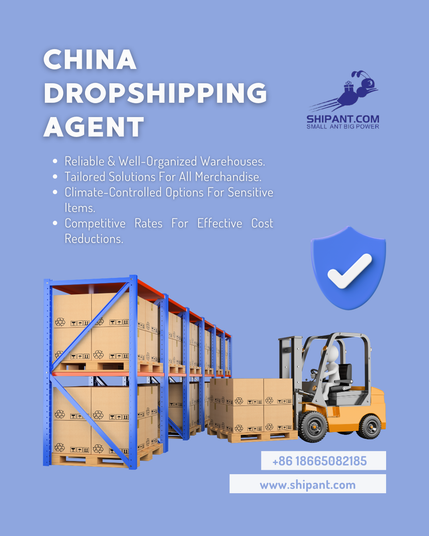 china dropshipping agent