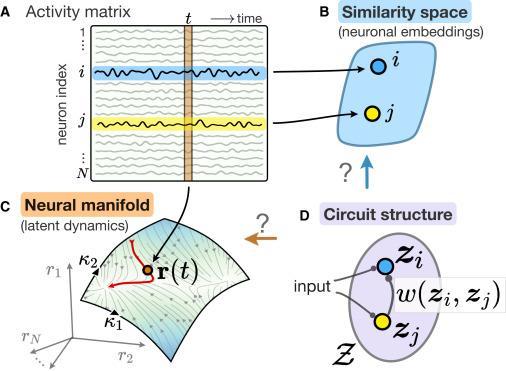 Figure 1 Neuronal activity and circuit structure—terminology