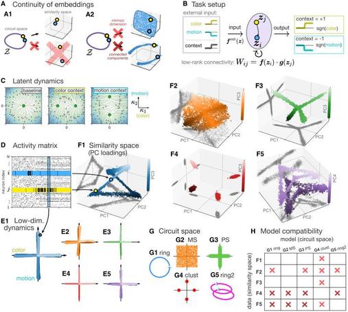 Figure 4 Neuronal embeddings distinguish different models implementing the same solution to a decision-making task