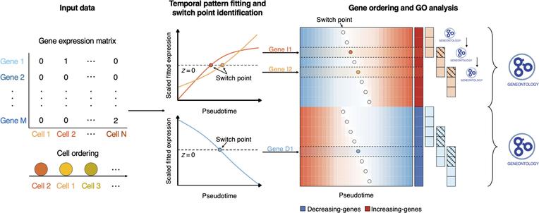 Pseudotimecascade Visualizes Gene Expression Cascade in Pseudotime Analysis. Computational and Structural Biotechnology Journal (CSBJ). https://spj.science.org/doi/epdf/10.34133/csbj.0007