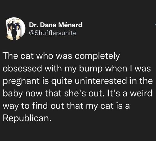 Dr. Dana Ménard : posted the following:
The cat who was completely
obsessed with my bump when | was
pregnant is quite uninterested in the
baby now that she's out. It's a weird
way to find out that my cat is a
Republican.