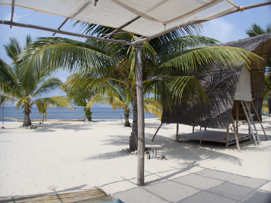 Palm trees dot a sandy beach. Off in the distance is the ocean and on the right is a raised canvas tent